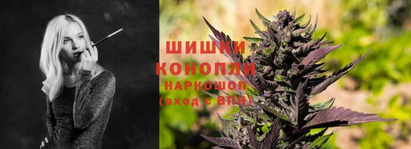 трава Новодвинск