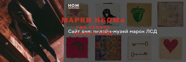 молекула духа Новокубанск