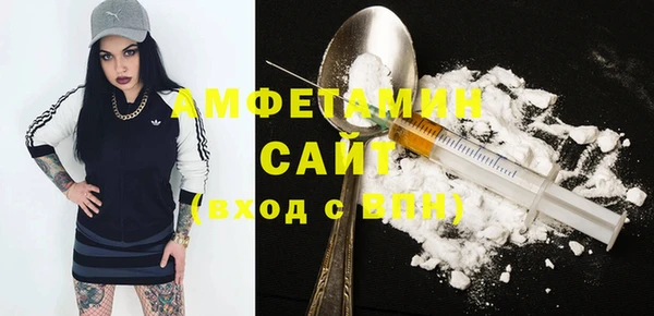 индика Няндома