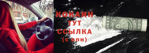 молекула духа Новокубанск