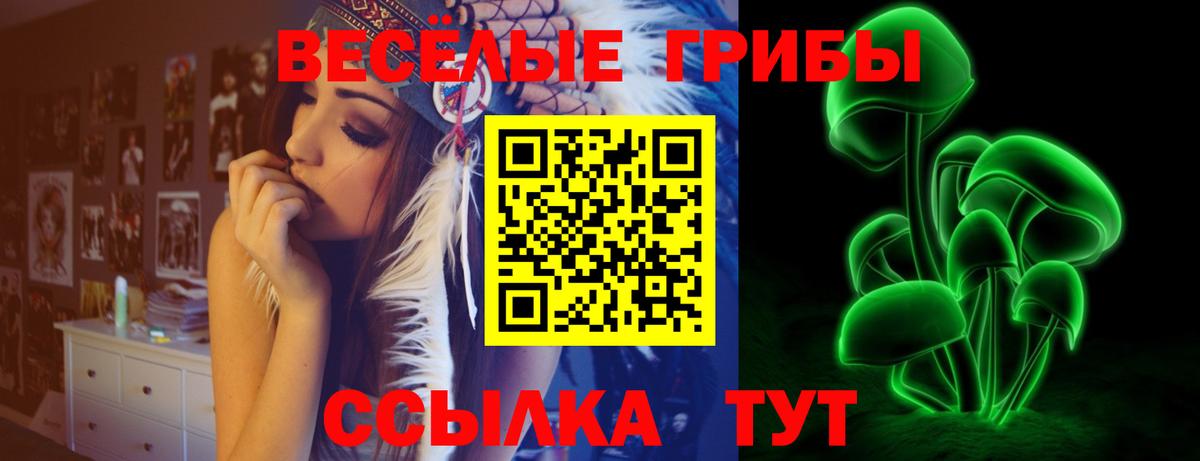 Галлюциногенные грибы GOLDEN TEACHER  Вход с VPN  Вологда 
