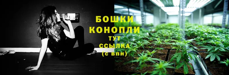 купить  цена  Вологда  Канабис SATIVA & INDICA 